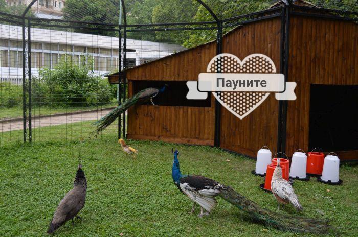 Д И В 1 - D & V 1 Apartment Sandanski Bagian luar foto